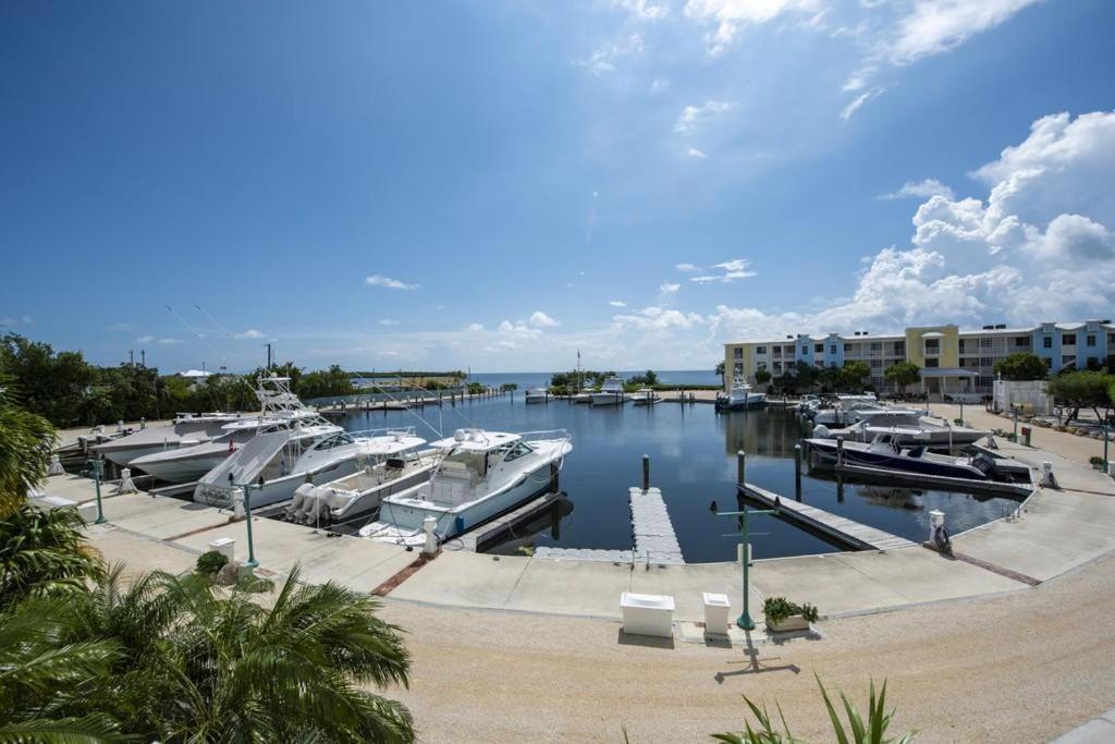 Licensed Mgr - 3/3.5 Modern Villa - Key Largo'S Premier Oceanfront Resort And Marina! Exterior foto